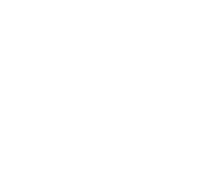 Trixl
